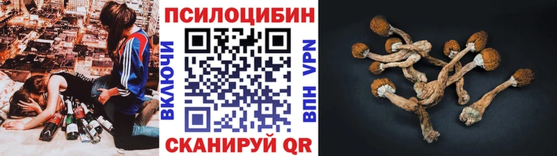 сколько стоит  Сретенск  дарк нет Telegram  Галлюциногенные грибы GOLDEN TEACHER 